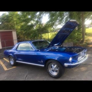 Meet your Posher, Rex